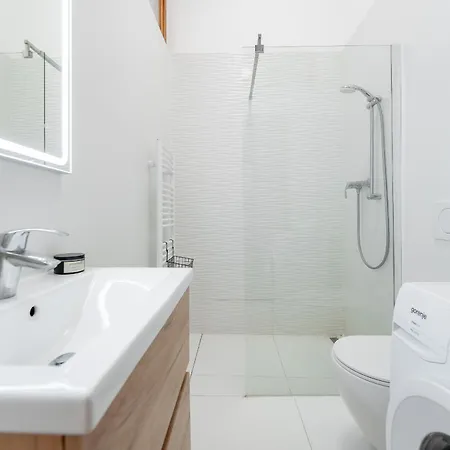 Mlynska 3 Centrum 150m2 Apartment Košice