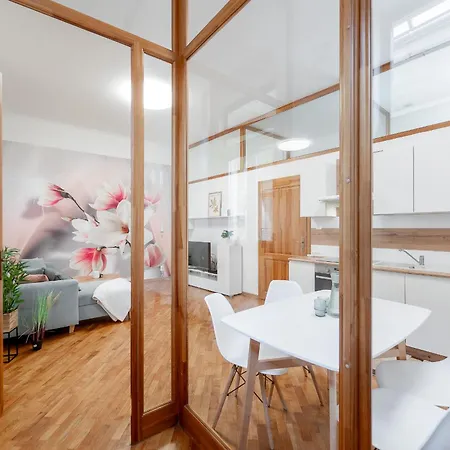 Mlynska 3 Centrum 150m2 דירה *