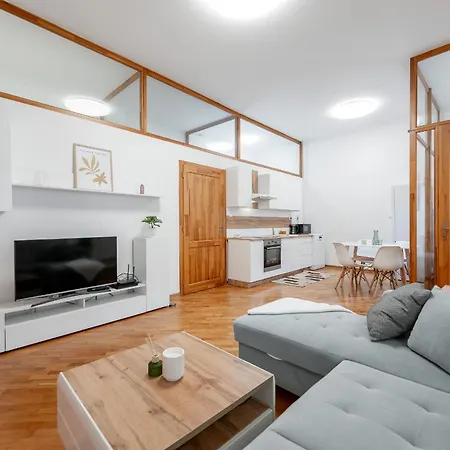 Mlynska 3 Centrum 150m2 דירה