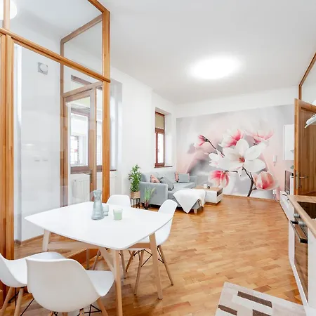 Mlynska 3 Centrum 150m2 דירה קושיצה