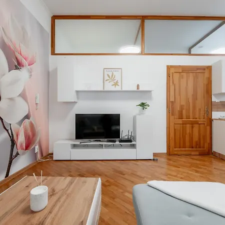 Apartment Mlynska 3 Centrum 150m2