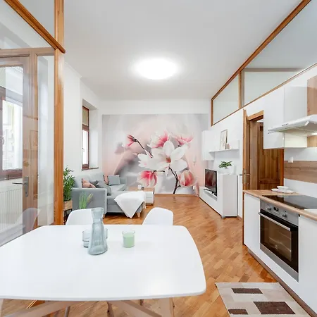 Apartment Mlynska 3 Centrum 150m2 *