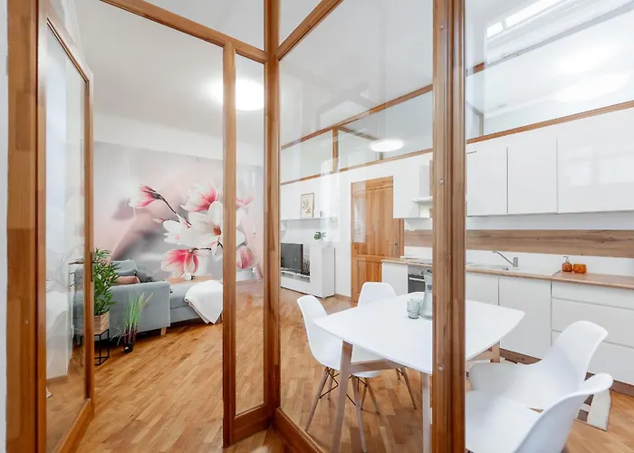Mlynska 3 Centrum 150m2 Apartment *
