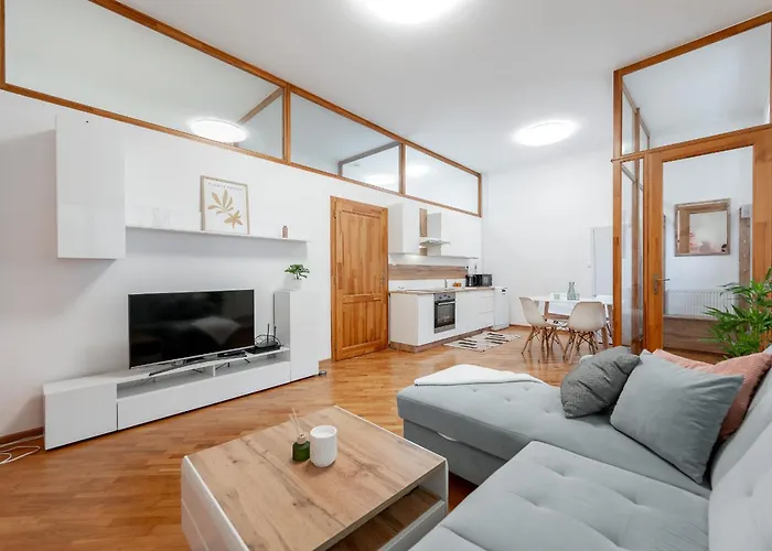 Mlynska 3 Centrum 150m2 Apartment