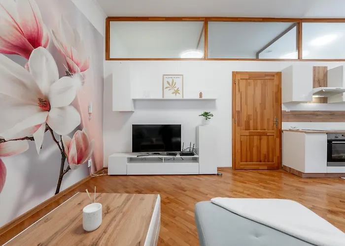 Apartment Mlynska 3 Centrum 150m2