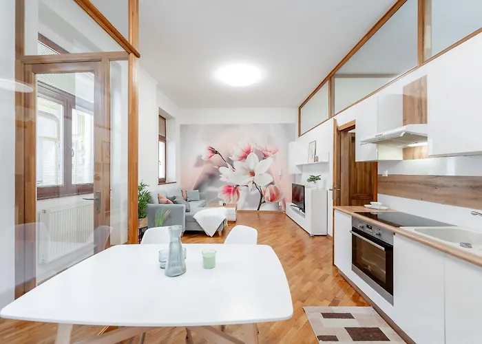 Apartment Mlynska 3 Centrum 150m2 *