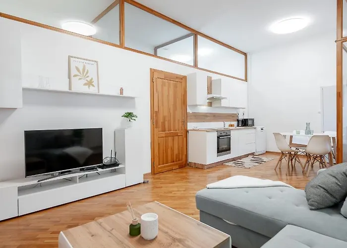 Mlynska 3 Centrum 150m2