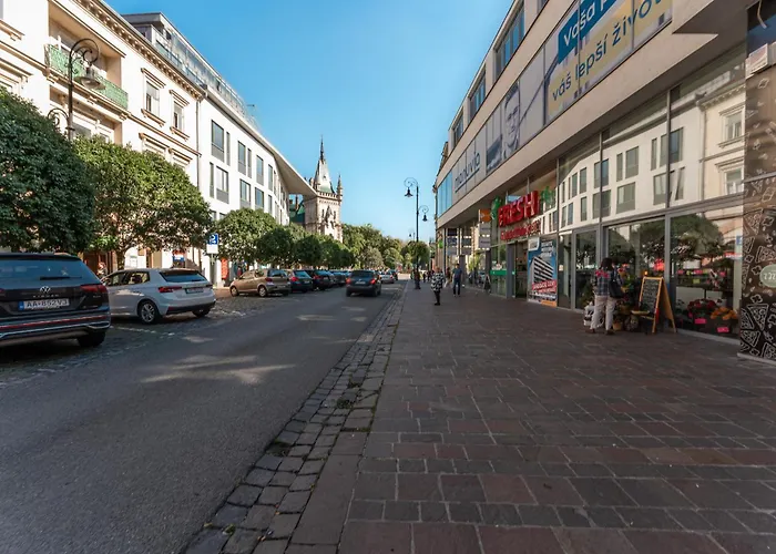 Apartment Mlynska 3 Centrum 150m2 Košice